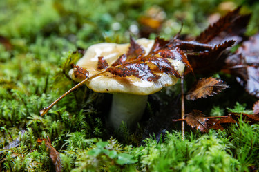 Similar image 22302240