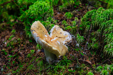 Similar image 22302241