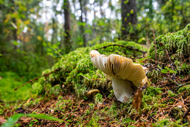 Similar image 22302243