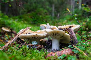 Similar image 22302244