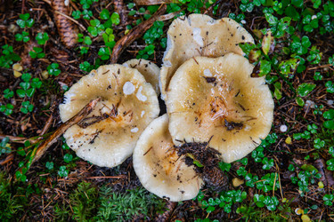 Similar image 22302245