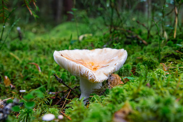 Similar image 22302246