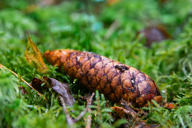 Similar image 22302248