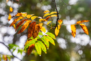 Similar image 22302249