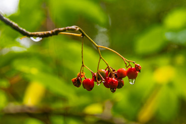 Similar image 22302250