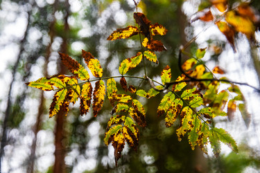 Similar image 22302251