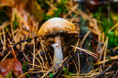 Similar image 22302252