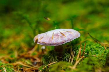 Similar image 22302253