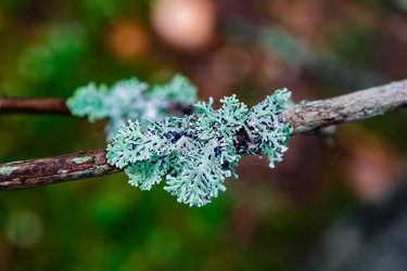 Similar image 22302254