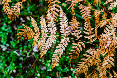 Similar image 22302256