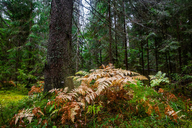 Similar image 22302257