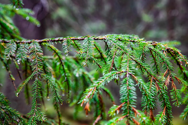 Similar image 22302258