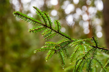 Similar image 22302259