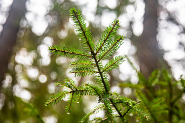 Similar image 22302260