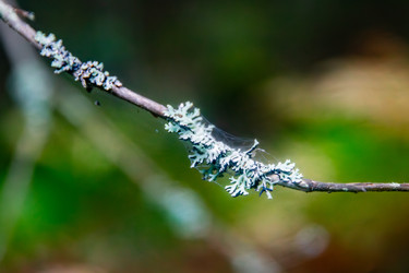 Similar image 22302261