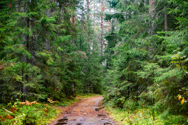 Similar image 22302263