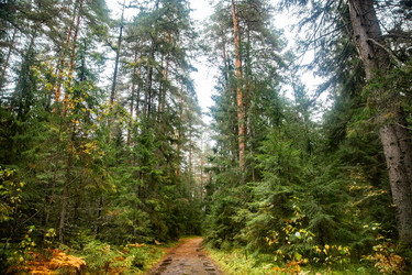 Similar image 22302264