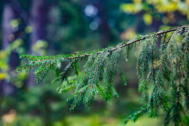 Similar image 22302265