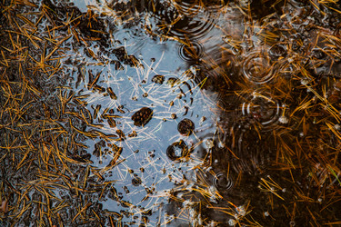 Similar image 22302266