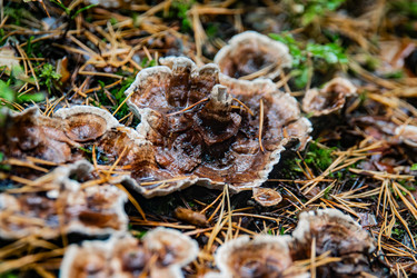 Similar image 22302267