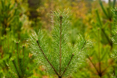 Similar image 22302269