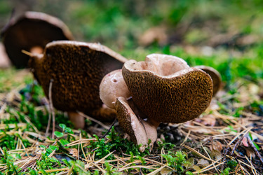 Similar image 22302270