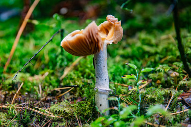 Similar image 22302271