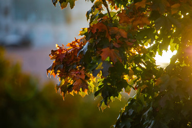 Similar image 22302272