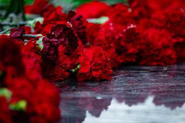 Similar image 22302284