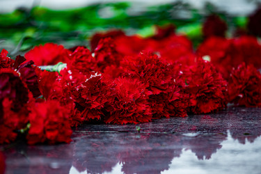 Similar image 22302285