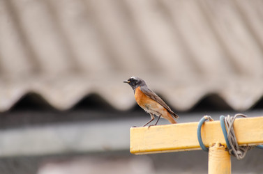 Similar image 22308779