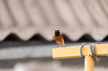 Similar image 22308780