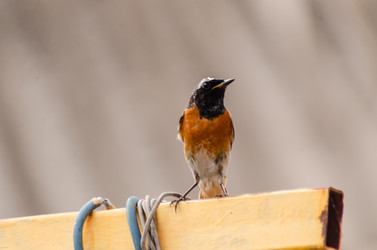 Similar image 22308781