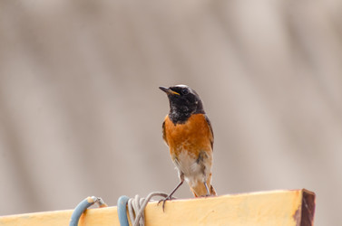 Similar image 22308783