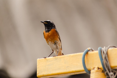 Similar image 22308785