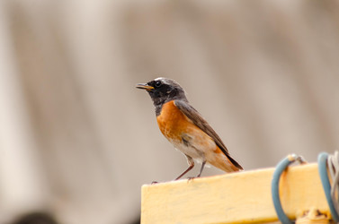 Similar image 22308786