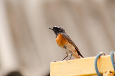 Similar image 22308787