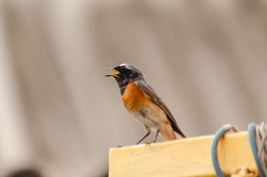 Similar image 22308788