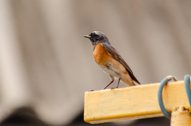 Similar image 22308789