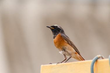 Similar image 22308790