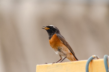 Similar image 22308791