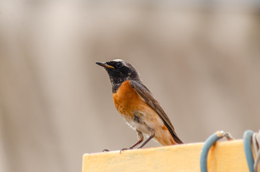 Similar image 22308792