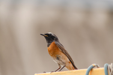 Similar image 22308793