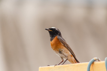 Similar image 22308794