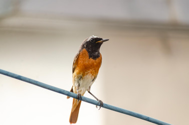 Similar image 22308795