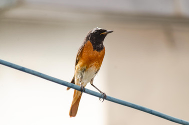 Similar image 22308796