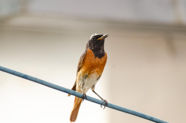 Similar image 22308797