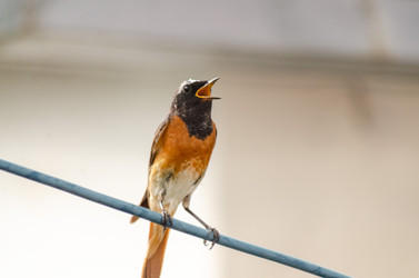 Similar image 22308798