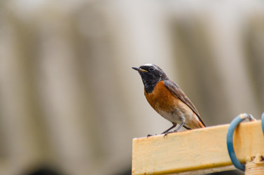 Similar image 22308799