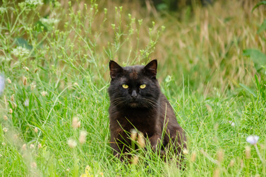 Similar image 22311892